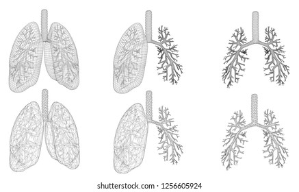 Vector set 3D lungs and bronchus. Isolated on white background. Element for medical design.