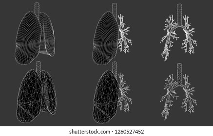 Vector set 3D lungs and bronchus. Isolated on white background. Element for medical design.