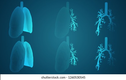 Vector set 3D lungs and bronchus. on color background. Element for medical design.