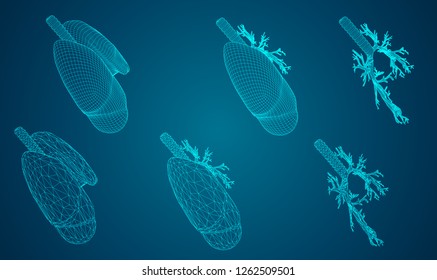 Vector set 3D lungs and bronchus. on color background. Element for medical design.