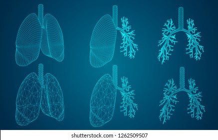 Vector set 3D lungs and bronchus. on color background. Element for medical design.