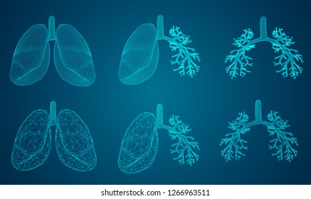 Vector set 3D lungs and bronchus. on color background. Element for medical design.