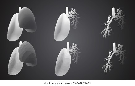 Vector set 3D lungs and bronchus. Isolated on white background. Element for medical design.