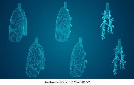 Vector set 3D lungs and bronchus. on color background. Element for medical design.