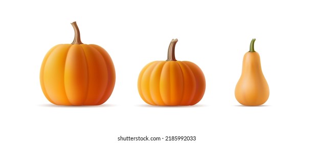 Vector set of 3D realistic pumpkins of various shapes and varieties on an isolated background. Volumetric squash, gourd template with shadow for Halloween party banner. Autumn vegetable illustration.