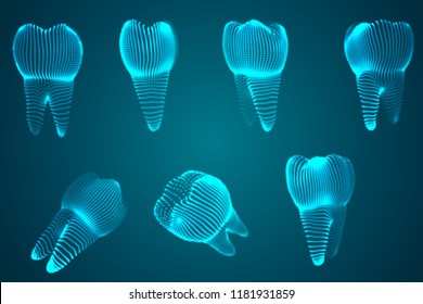 vector set of 3d teeth for dental medicine.