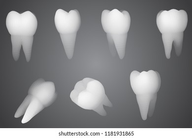 vector set of 3d teeth for dental medicine.