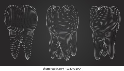 vector set of 3d teeth for dental medicine.
