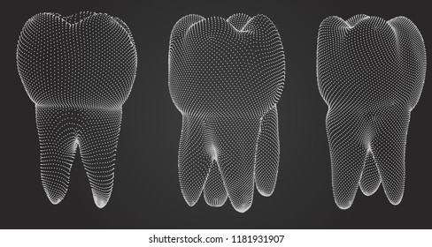 vector set of 3d teeth for dental medicine.