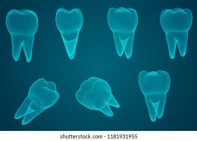 vector set of 3d teeth for dental medicine. on a blue background