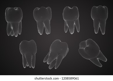 vector set of 3d teeth for dental medicine.