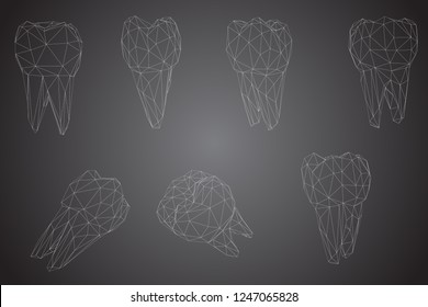 vector set of 3d teeth for dental medicine.