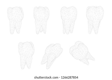 vector set of 3d teeth for dental medicine. isolated on white