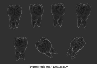 vector set of 3d teeth for dental medicine.