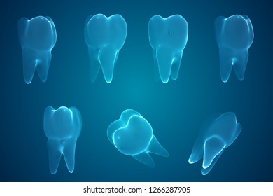 vector set of 3d teeth for dental medicine.