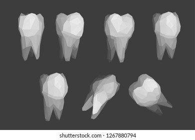 vector set of 3d teeth for dental medicine.