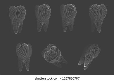 vector set of 3d teeth for dental medicine.