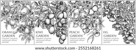 Vector set of 4 banners with fruit branches. Fig, kiwi, peach, orange
