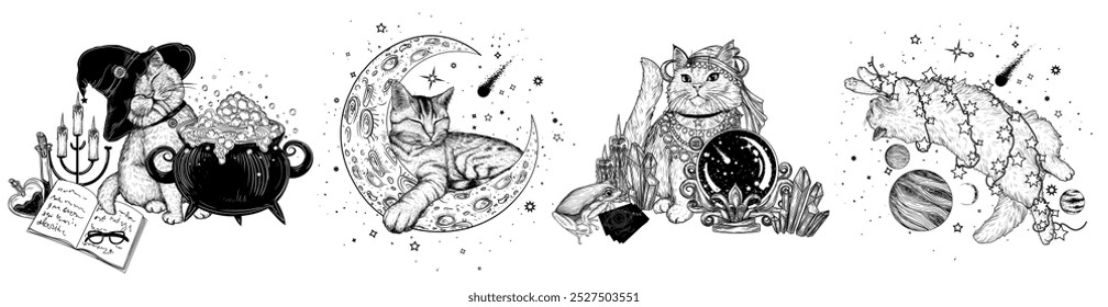 Vector set of 4 magical cats. Wizard cat with potion, tabby kitten on the moon, fortune teller cat and kitty in space