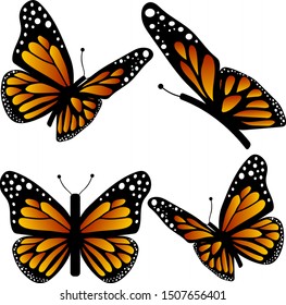 Vector set, 4 monarch butterflies