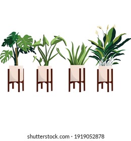 Vector set of 4 plants in pots