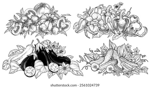 Vector set of 4 still lifes of vegetables. Tomatoes, eggplants, cucumbers, peppers. Whole vegetables, cut, halves, leaves, blossoms