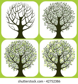 vector set of 4 trees on white background