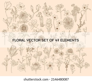 vector set of 47 floral elements for design printing on postcards t-shirts beautiful gentle graphic