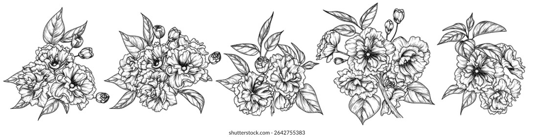 Vector set of 5 blossoming sakura blossoms. Spring flowers collection. Delicate decor of blooming branches in engraving style. For invitations, cards, banners, packaging
