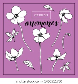 Vector set of 5 flowers with bud and leaves. Black graphics on a white background. For various designs of postcards, cards, botanical books, decor, coloring