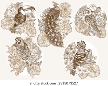 Vector set of 5 stickers with exotic birds in tropical plants. Macaw parrot, toucan, hoopoe, peacock and cockatiel parrot in engraving style