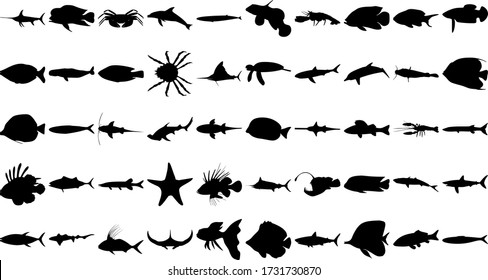 Vector set of 50 various fish and sea animals silhouettes.