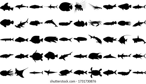 Vector set of 50 various fish and sea animals silhouettes.