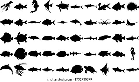 Vector set of 50 various fish and sea animals silhouettes.