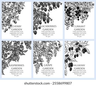 Vector set of 6 banners with berry garden. Cherry, blackberry, currant, raspberry, mulberry, grapes