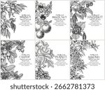 Vector set of 6 banners with branches of nuts. Flyer template with almonds, hazelnuts, cashews, walnuts, peanuts, brazil nuts in engraving style. Growing superfood