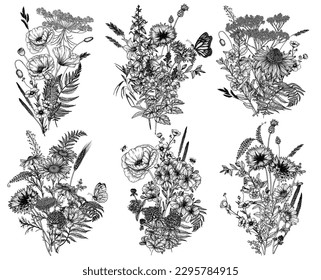 Vector set of 6 bouquets of wild flowers and plants. Chamomile, clover, chicory, poppy, cornflower, bells, periwinkle, buttercup, St. John's wort, fern, veronica, butterflies, bees in engraving style