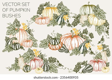 Vector set of 6 bushes with pumpkins in engraving style