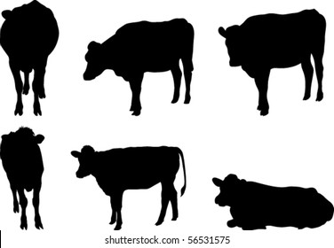 Vector Set of 6 cow silhouettes