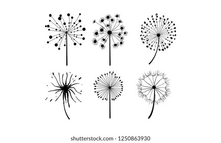 Vector set of 6 dandelions in linear style. Flower with fluffy seeds. Floral theme