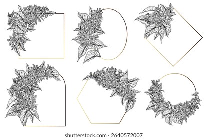 Vector set of 6 golden frames of various shapes with graphic lilac color. Collection of templates with delicate spring blossom. Decoration of flowers