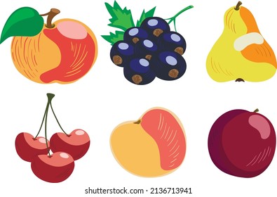 Conjunto vectorial de 6 frutas de huerto hechas a mano: manzana, grosella negra, pera, cerezas, durazno, ciruela. Aislado sobre fondo blanco