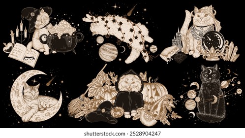 Vector set of 6 magical cats. With a cauldron of potions, in space, in the center of the galaxy, on the moon, a fortune-telling cat with a magic bullet, in a hood among carved pumpkins