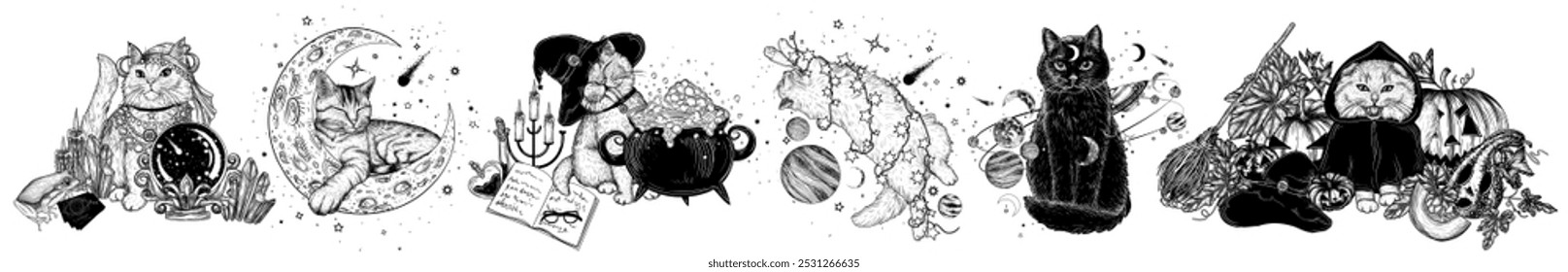 Vector set of 6 magical cats. With a cauldron of potions, in space, in the center of the galaxy, on the moon, a fortune-telling cat with a magic bullet, in a hood among carved pumpkins