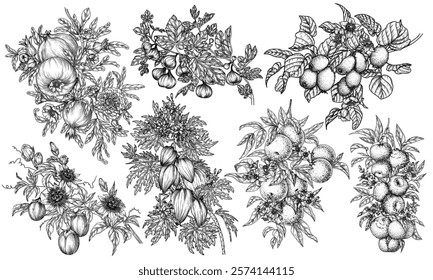 Vector set of 7 branches of tropical fruits. Pomegranate, passion fruit, papaya, fig, kiwi, tangerine, orange. Organic farm. Growing exotic fruits. Illustration for grocery and fruit stores