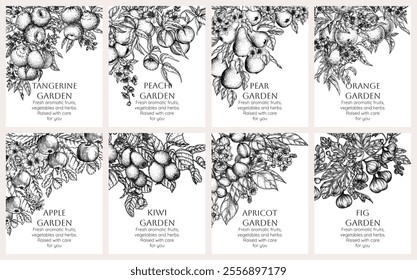 Vector set of 8 banners with fruits on branches with blossoms and leaves. Mandarin, peach, pear, orange, apple, apricot, kiwi, fig