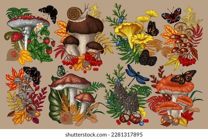 Vector set 8 bushes and mushrooms  plants  insects  berries  Fly agaric  chanterelles  white mushroom  honey agaric  boletus  morel  russula  snail  strawberry  fern  butterflies  dragonfly