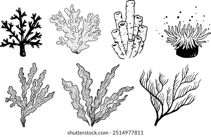 Conjunto vetorial de 8 plantas oceânicas diferentes, como corais, anêmonas ou algas. Os vetores têm uma linha preta e fundo transparente. As ilustrações são desenhadas à mão em um estilo de pontilhamento de tatuagem.