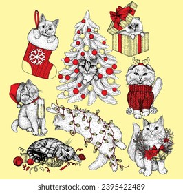 Vector set of 8 holiday cats. Siamese lop-eared, tabby, British, fluffy. In a Christmas tree, with Christmas decorations, in a gift box, wrapped in a garland, in a Christmas stocking, with champagne