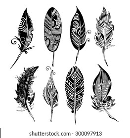 vector set of 8 sketch fethers